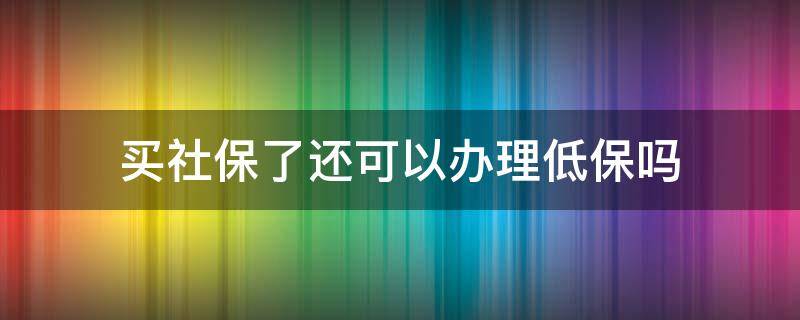 买社保了还可以办理低保吗