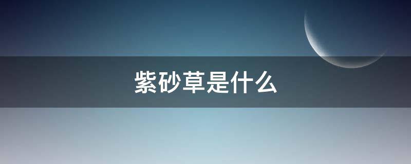 紫砂草是什么