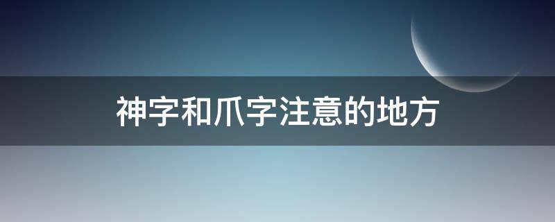 神字和爪字注意的地方