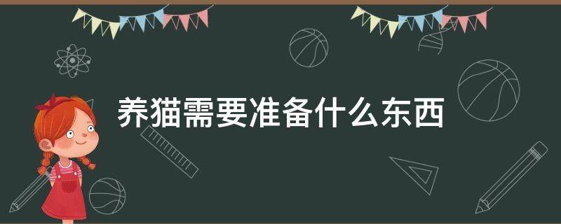 养猫需要准备什么东西