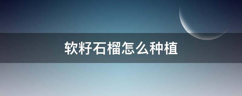 软籽石榴怎么种植