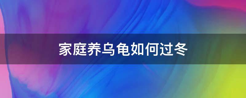 家庭养乌龟如何过冬