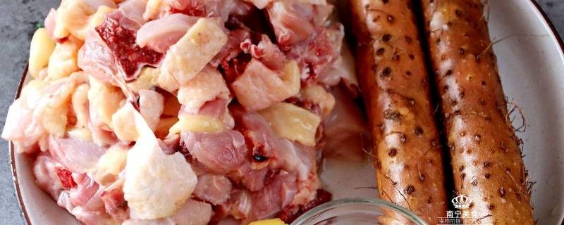 鸡可以和什么一起煲汤-墨子百科 鸡可以和什么一起煲汤