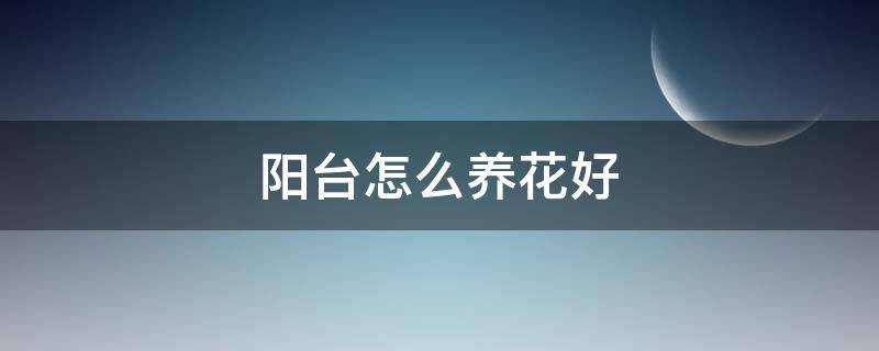 阳台怎么养花好