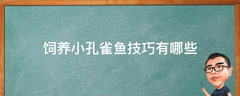 饲养小孔雀鱼技巧有哪些