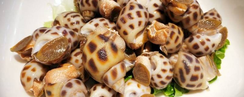 花螺怎么炒-墨子百科 花螺怎么炒