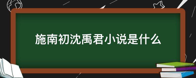 施南初沈禹君小说是什么