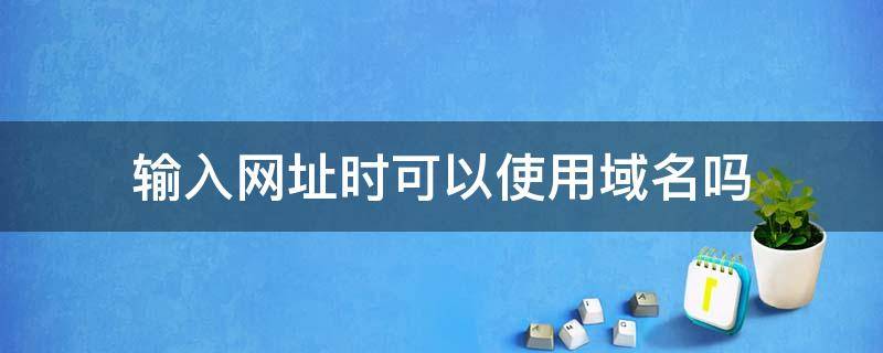 输入网址时可以使用域名吗