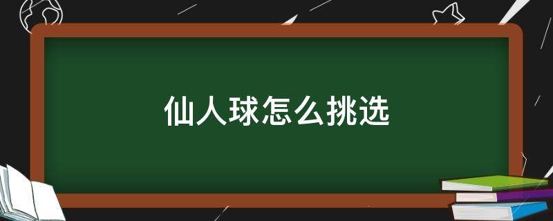 仙人球怎么挑选