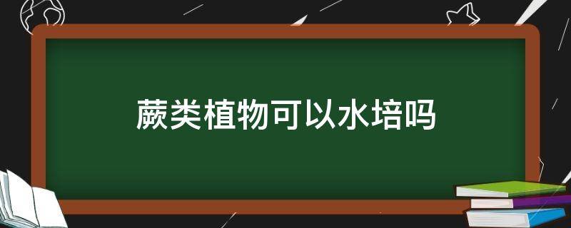 蕨类植物可以水培吗