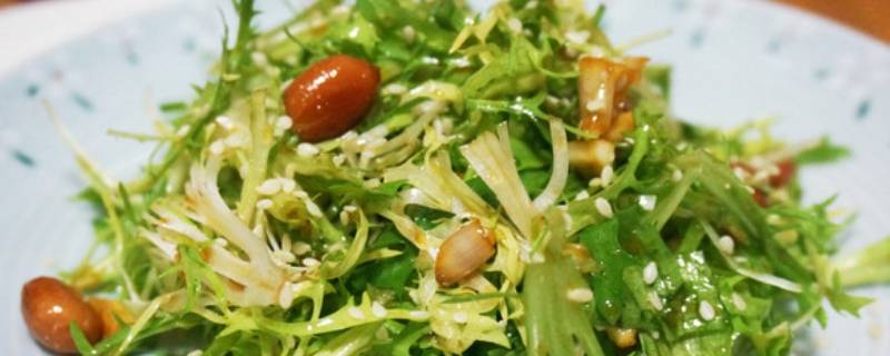 苦菊怎么凉拌-墨子百科 苦菊怎么凉拌