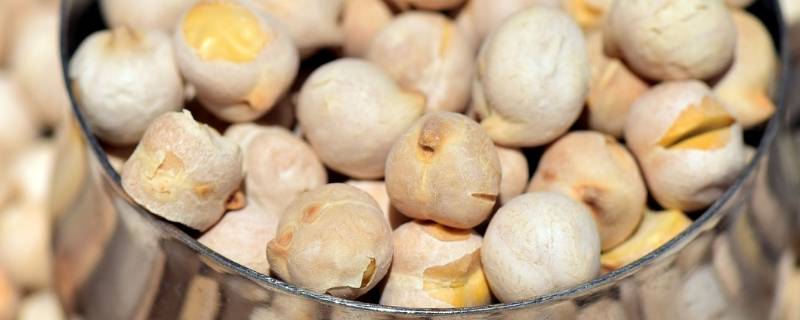 鹰嘴豆怎么吃-墨子百科 鹰嘴豆怎么吃