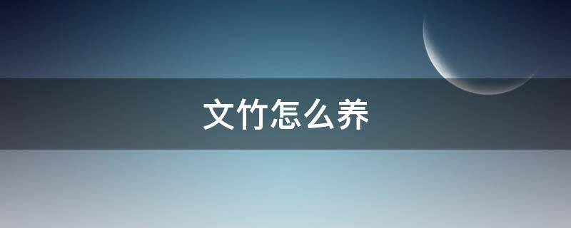 文竹怎么养