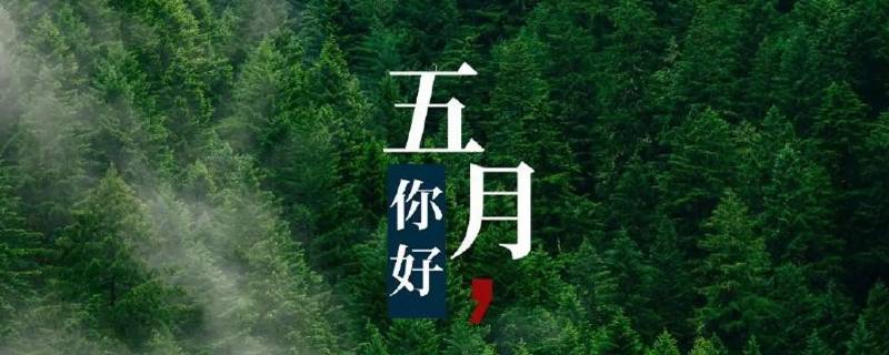 关于赞美5月的开场白