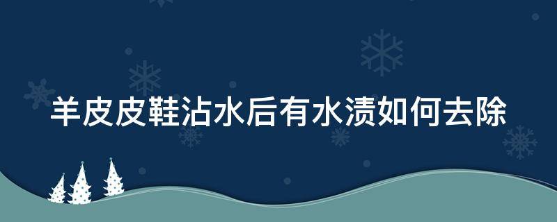 羊皮皮鞋沾水后有水渍如何去除