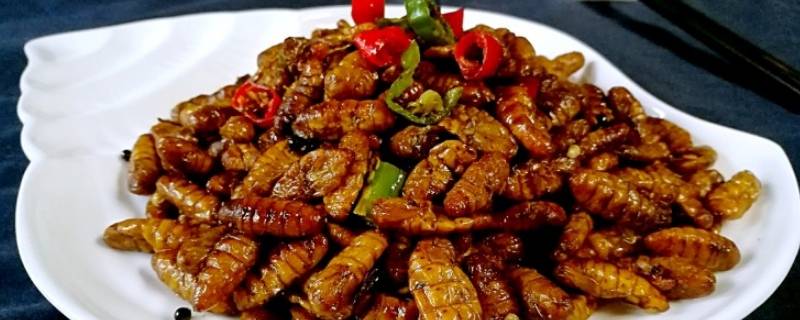 蜂蛹怎么炒好吃-墨子百科 蜂蛹怎么炒好吃