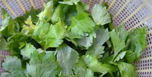 芹菜叶子怎么做最好吃-墨子百科 芹菜叶子怎么做最好吃