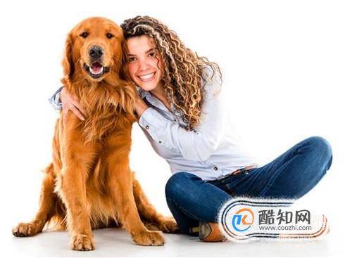 狗狗的生活习性介绍-墨子百科 狗狗的生活习性介绍