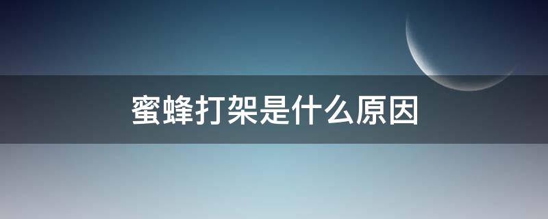 蜜蜂打架是什么原因