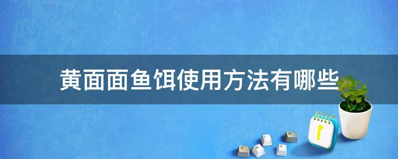 黄面面鱼饵使用方法有哪些