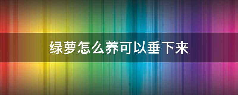 绿萝怎么养可以垂下来