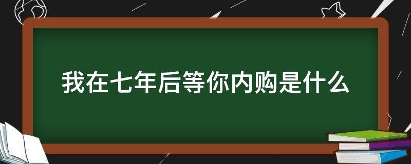 我在七年后等你内购是什么