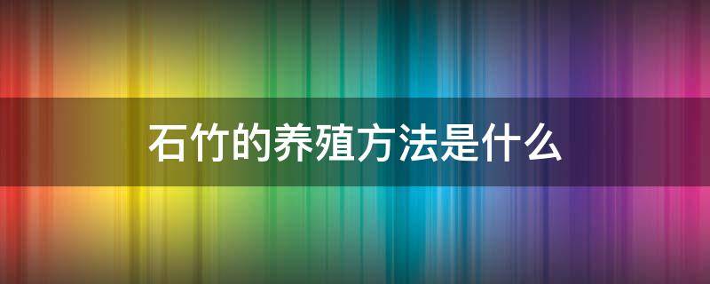 石竹的养殖方法是什么