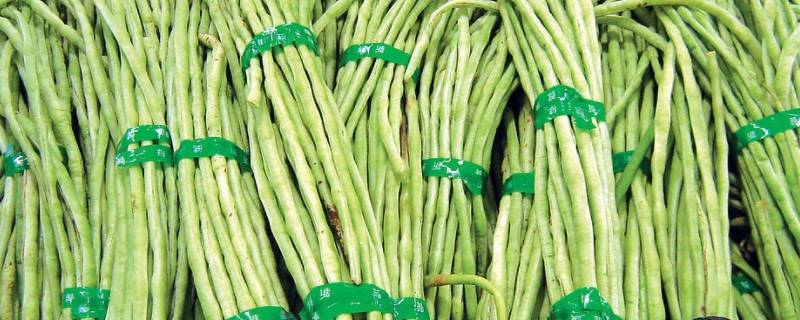 线豆做法-墨子百科 线豆做法