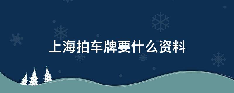 上海拍车牌要什么资料