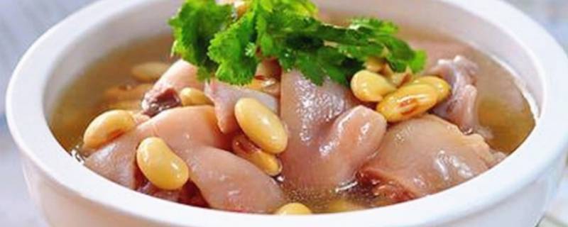 怎样炖猪蹄汤才更好喝-墨子百科 怎样炖猪蹄汤才更好喝
