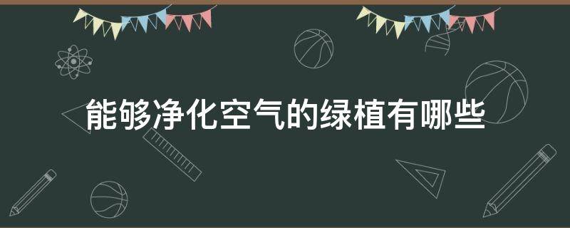 能够净化空气的绿植有哪些