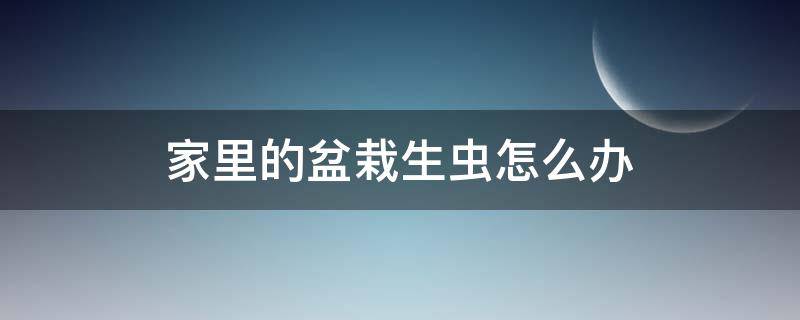 家里的盆栽生虫怎么办