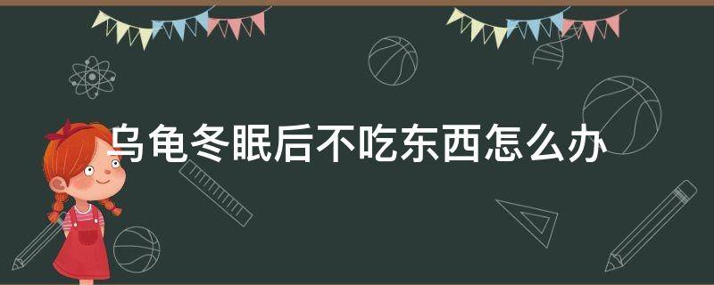 乌龟冬眠后不吃东西怎么办