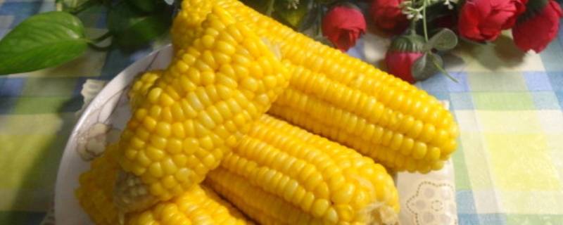 水果玉米怎么做好吃-墨子百科 水果玉米怎么做好吃