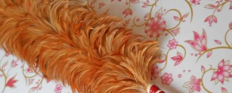 鸡毛掸子的灰尘去哪了-墨子百科 鸡毛掸子的灰尘去哪了