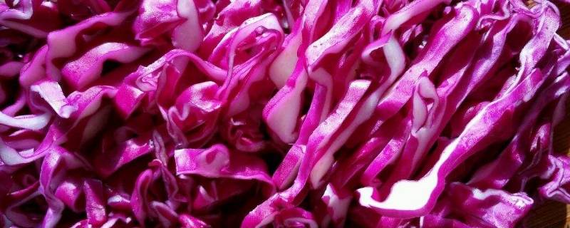 甘蓝怎么做好吃-墨子百科 甘蓝怎么做好吃