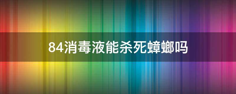 84消毒液能杀死蟑螂吗