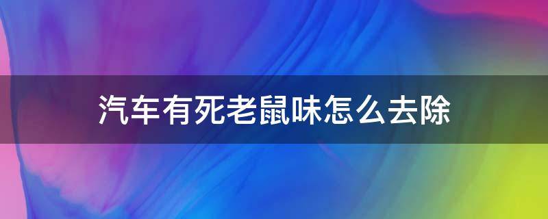 汽车有死老鼠味怎么去除