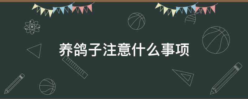 养鸽子注意什么事项