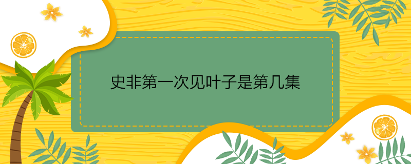 史非第一次见叶子是第几集