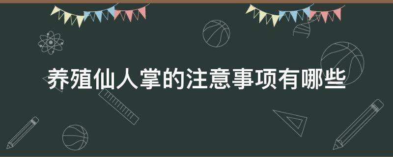 养殖仙人掌的注意事项有哪些