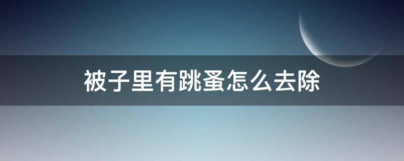 被子里有跳蚤怎么去除