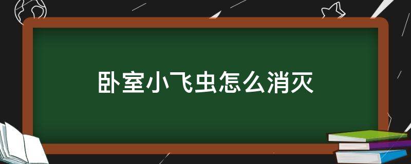 卧室小飞虫怎么消灭