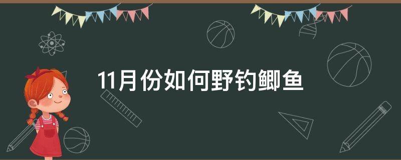 11月份如何野钓鲫鱼