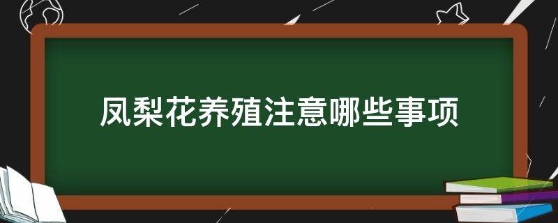 凤梨花养殖注意哪些事项