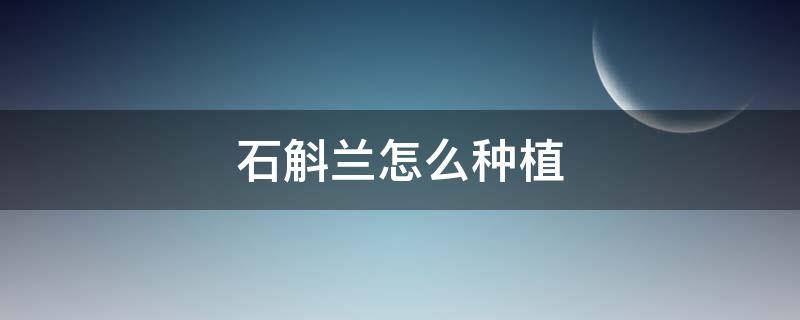 石斛兰怎么种植