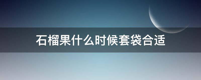 石榴果什么时候套袋合适