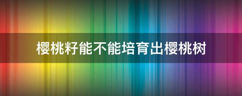 樱桃籽能不能培育出樱桃树