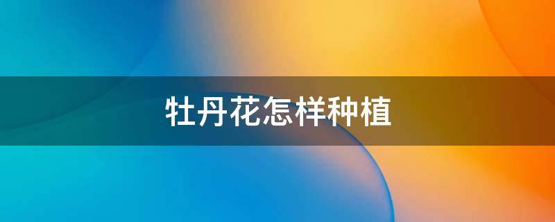 牡丹花怎样种植-墨子百科 牡丹花怎样种植