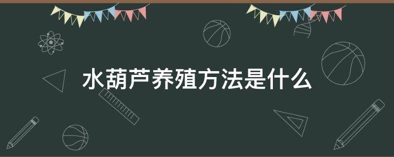 水葫芦养殖方法是什么